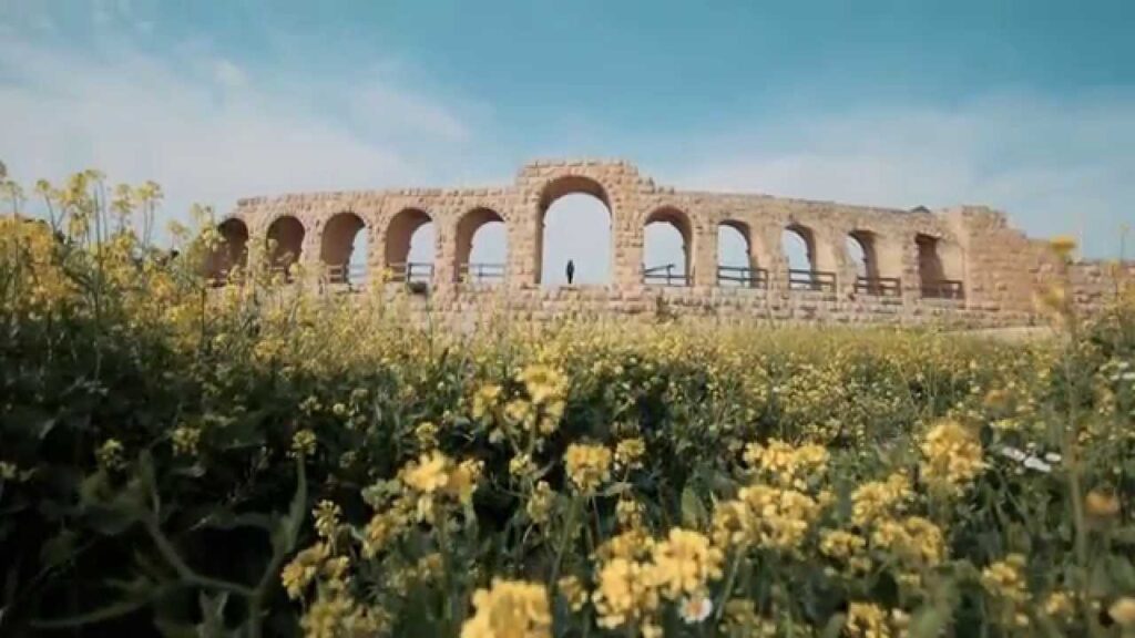 Millennium Travel & Tours