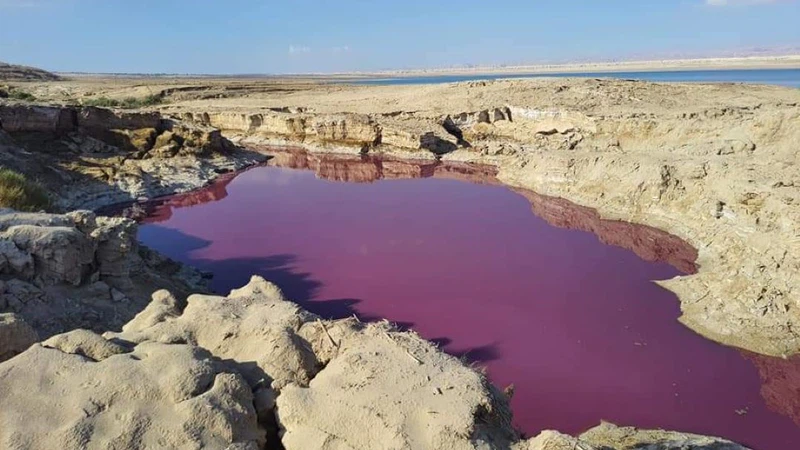 The Pink Lake in the Dead Sea: A Stunning Natural Wonder